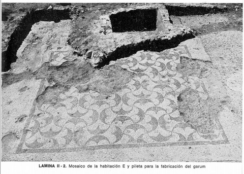 Mosaico de la Habitación E y pileta para fabricación del garum (Sabinillas, Manilva)